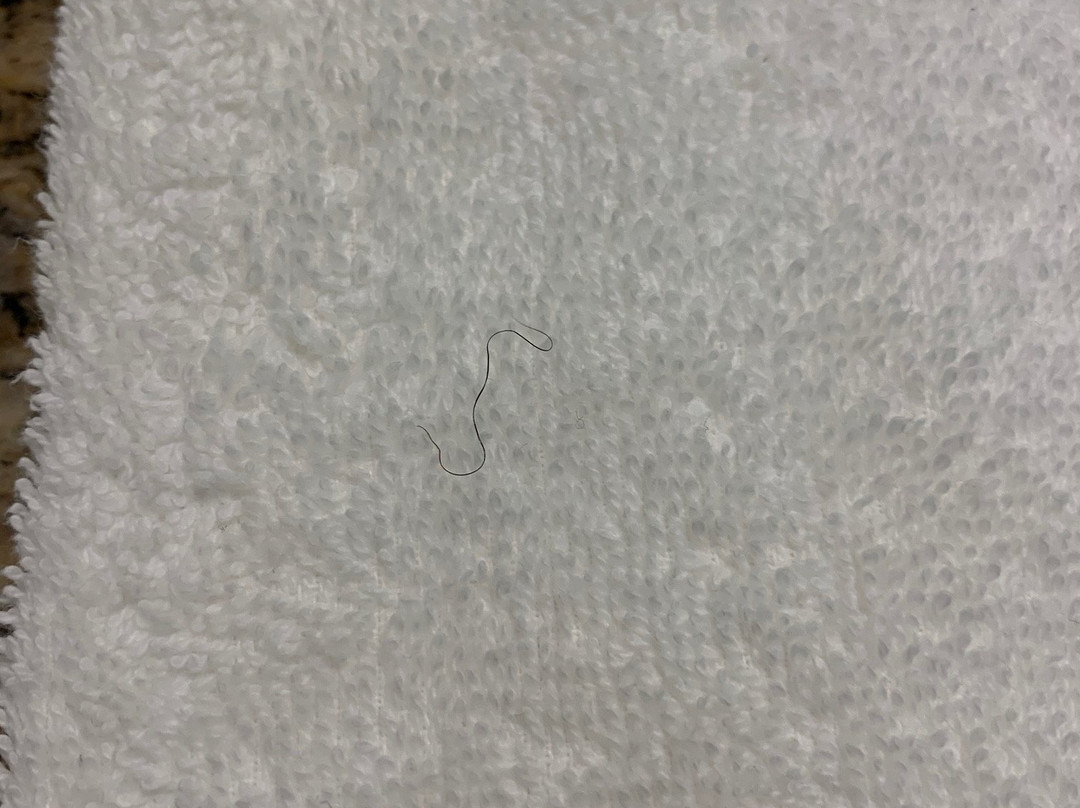 Hampton Inn Austin-Round Rock主图