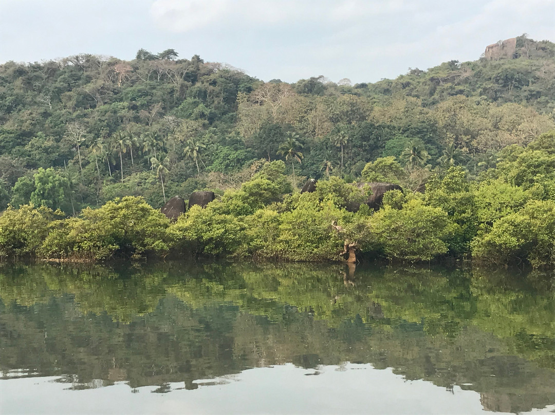 Dream Catcher by Feather Touch主图