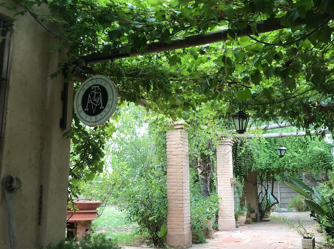 Molino la Tebaida主图