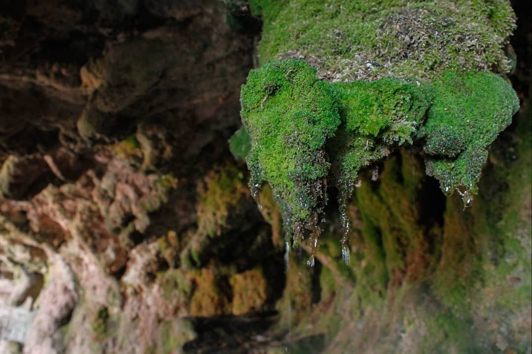 Cascada Maqui Malal景点图片