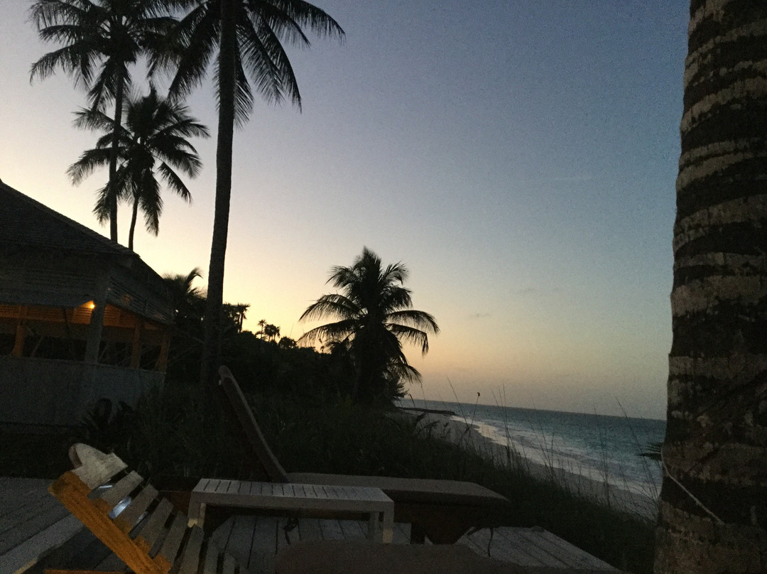 La Bougainvillea主图