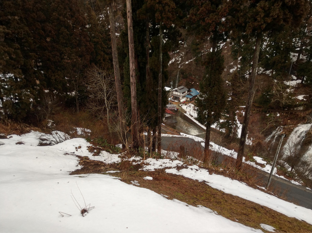泷和荞麦之宿主图