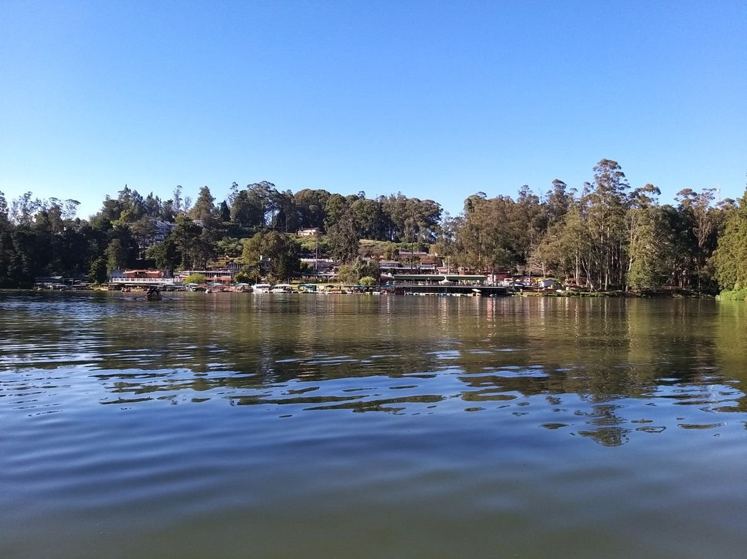 Ooty Lake景点图片
