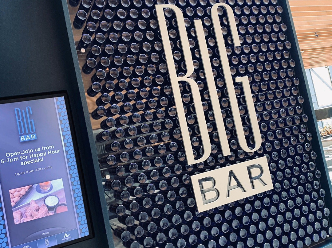 Chicago Elevated-芝加哥必去景点