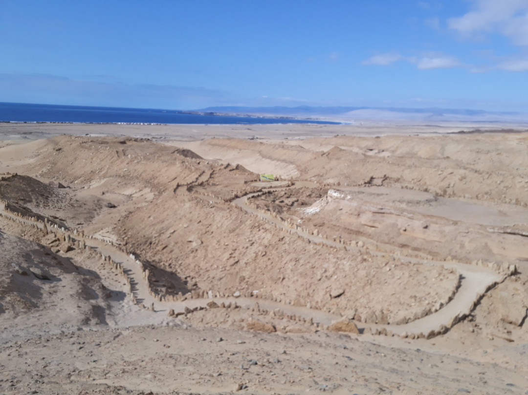 Parque Paleontologico De Caldera景点图片