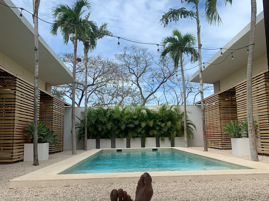 BoHo Tamarindo主图