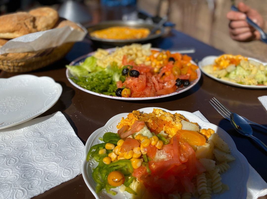 Trek In Atlas-马拉喀什必去景点