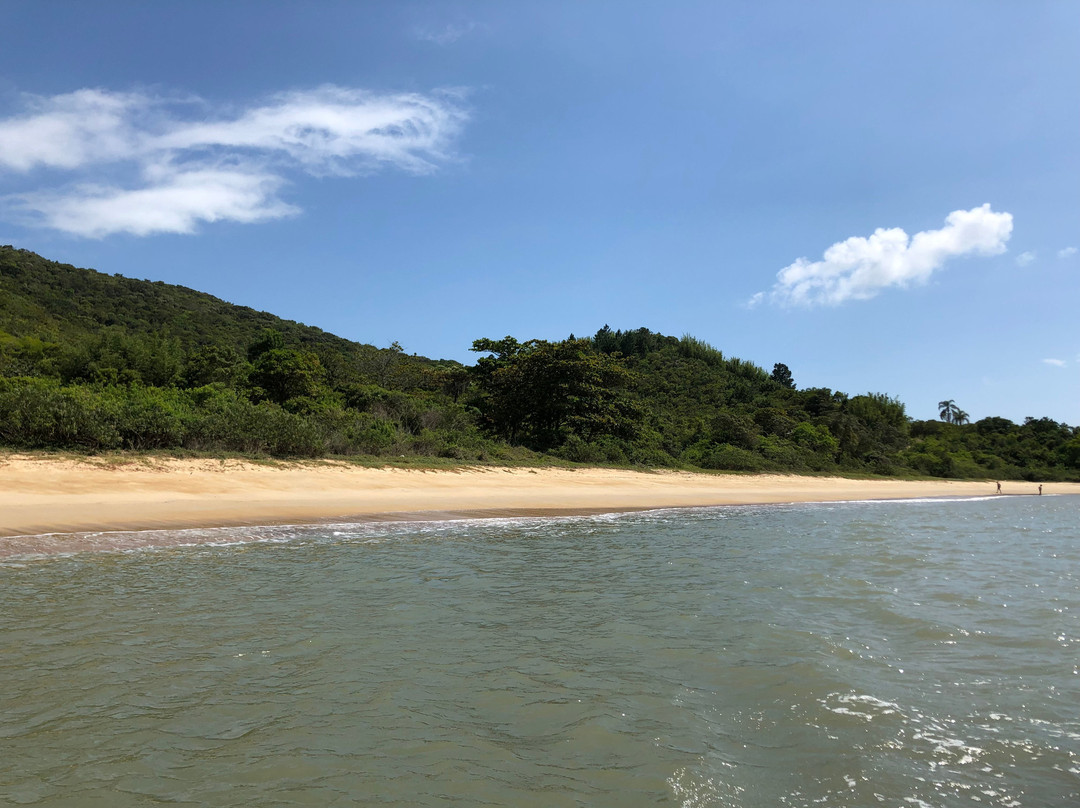 Cardoso Beach-Bombinhas必去景点