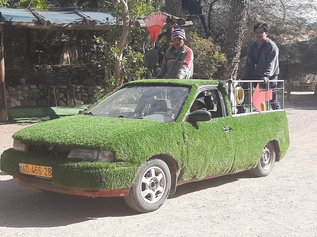 The Botanical Garden Of Eilat-埃拉特必去景点