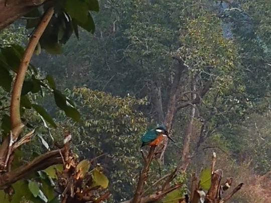 Wild Splash-里希克虚必去景点