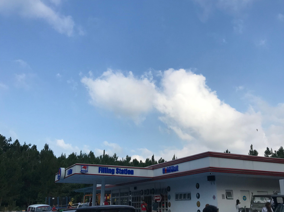 Dahilayan Forest Park Resort景点图片