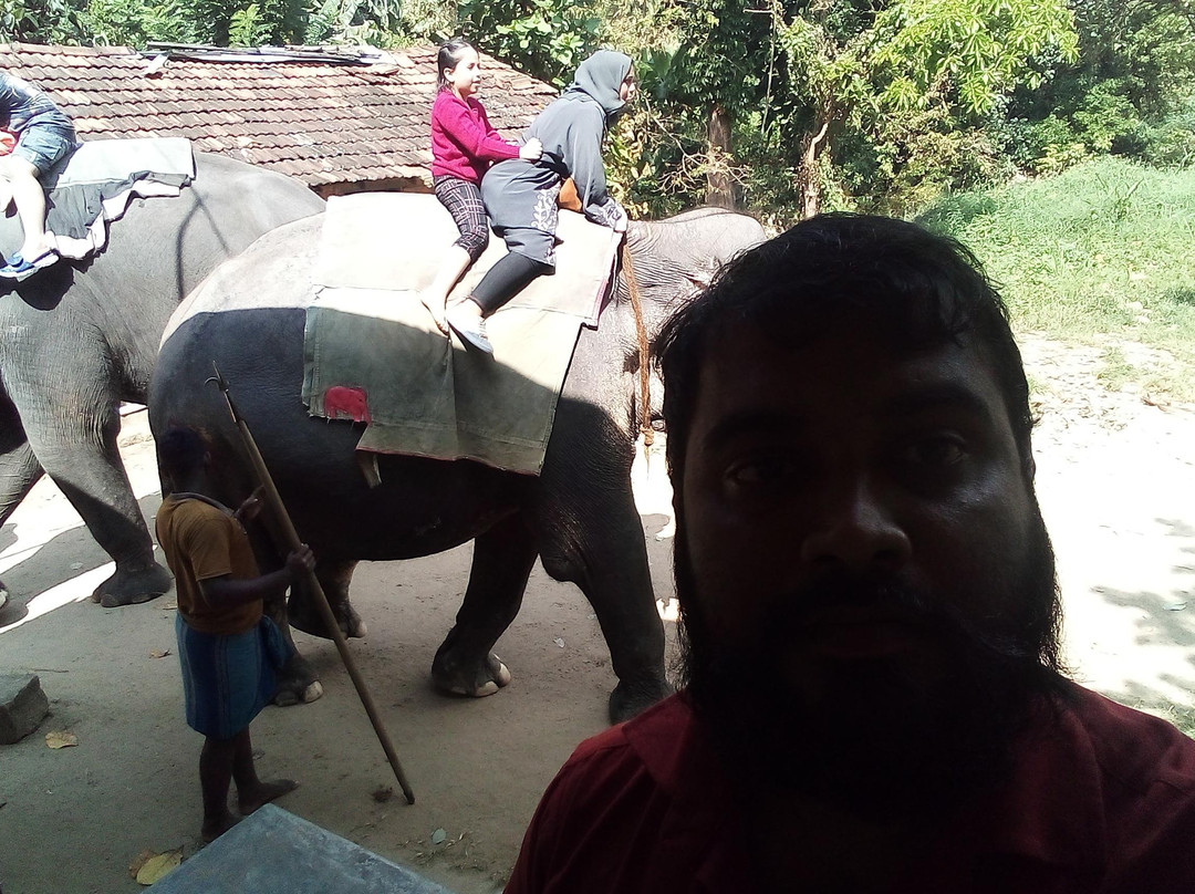 Suduhansa Tours (BoYo)-亚洪加拉必去景点