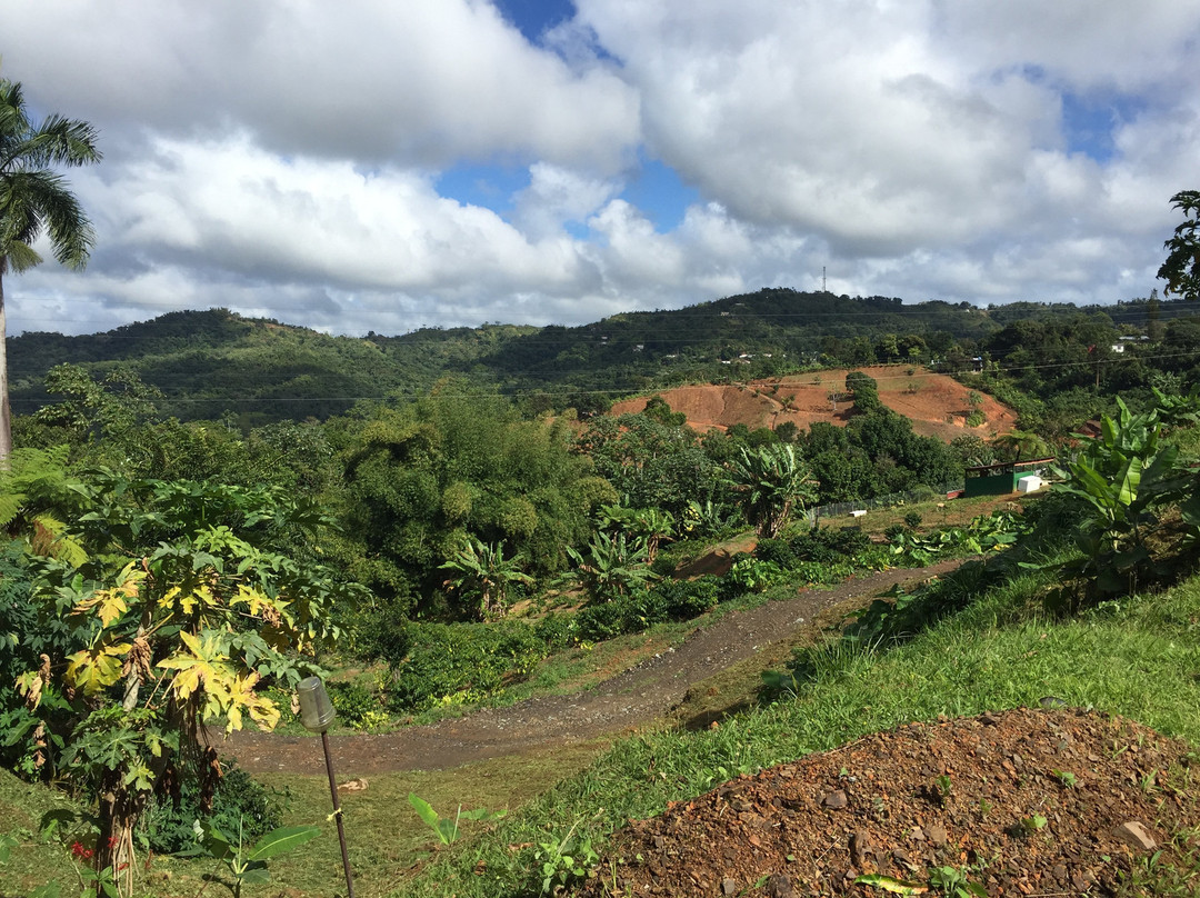 Hacienda Juanita主图