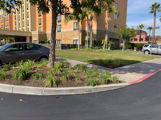 SpringHill Suites by Marriott Los Angeles LAX/Manhattan Beach主图