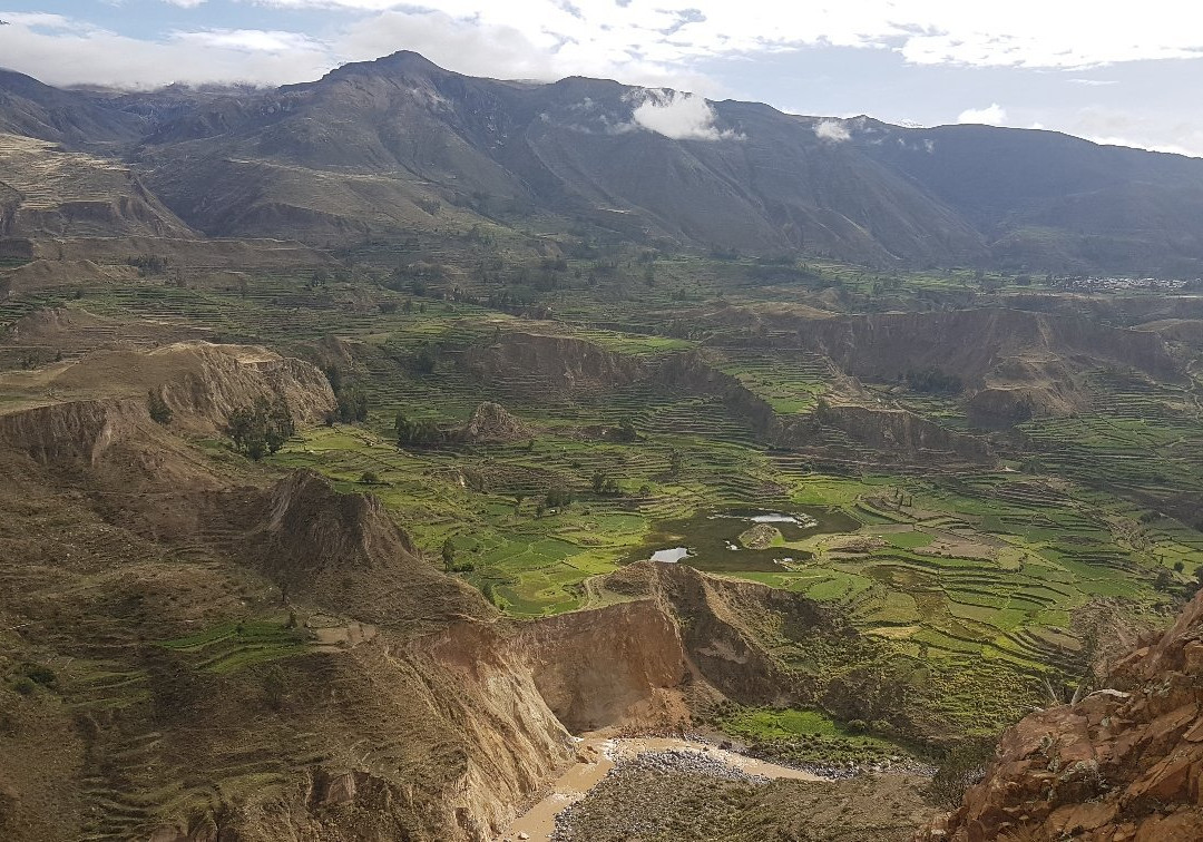 Luis tours colca cañon景点图片