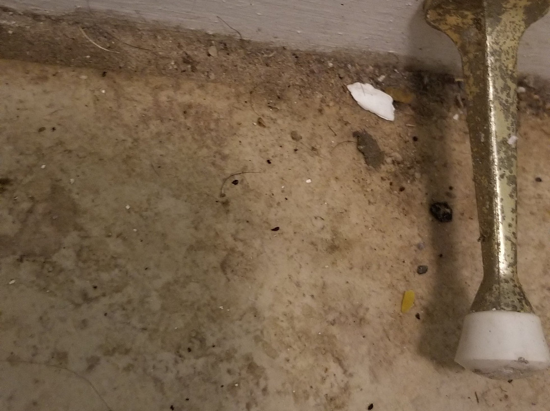 Winton Inn & Suites主图