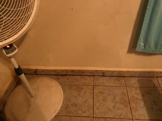 The Sea Monkey主图