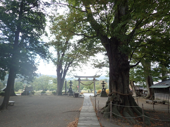 Shiratori Shrine-东御市必去景点