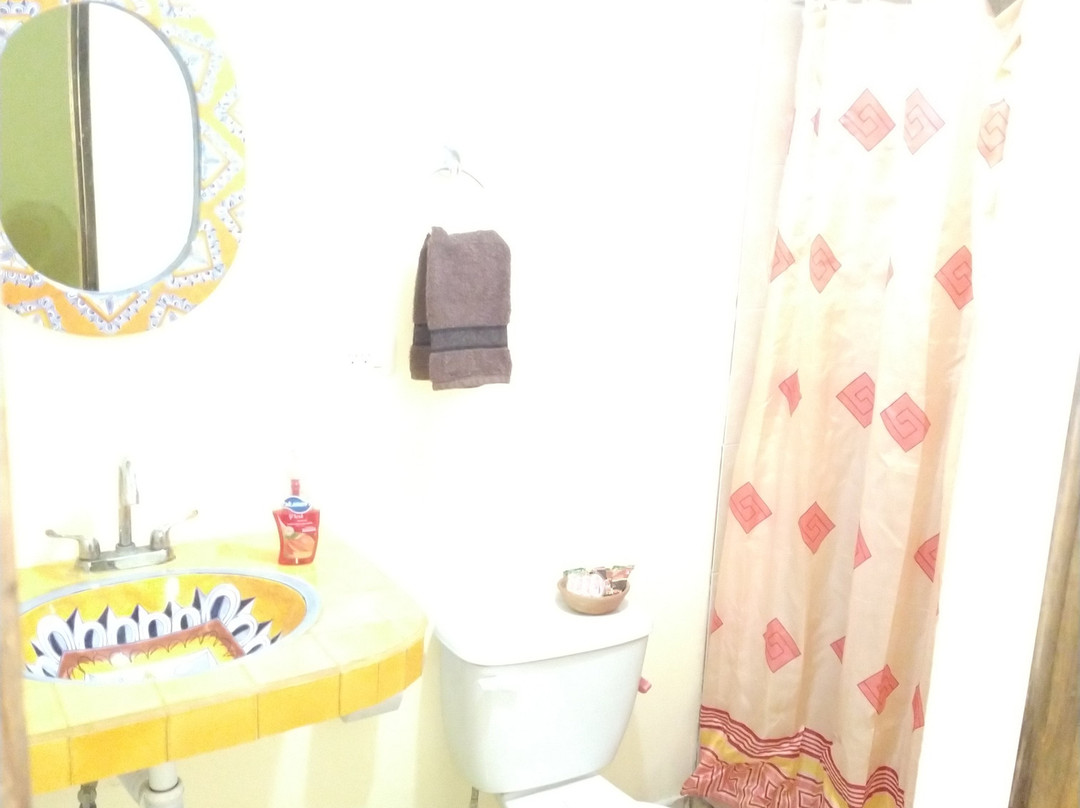 Jardin Huasteca主图