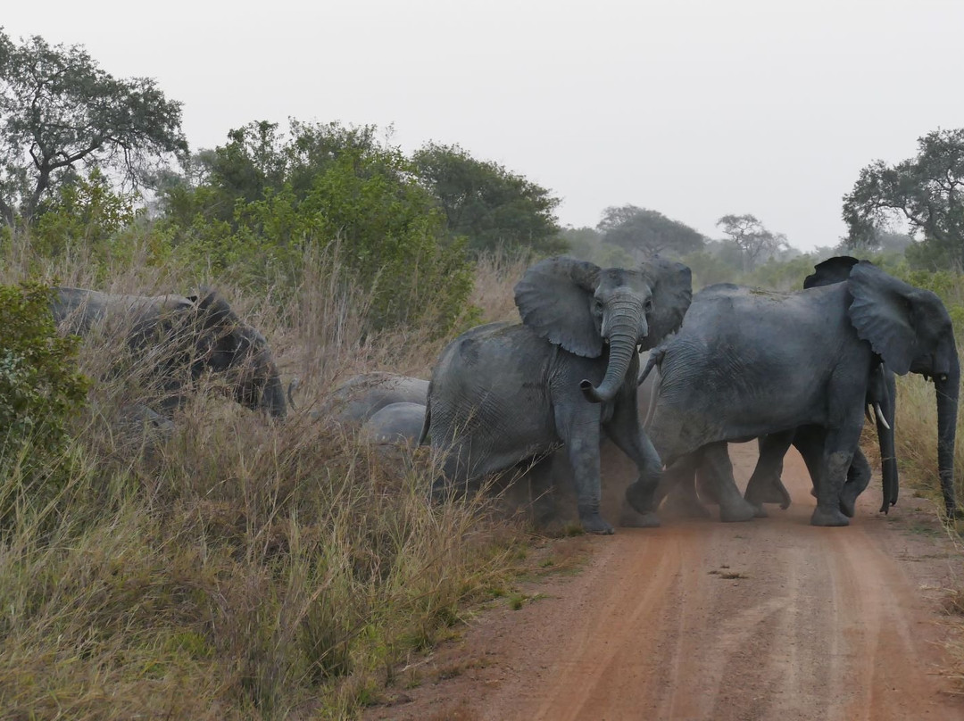 Pendjari National Park-Tanguieta必去景点