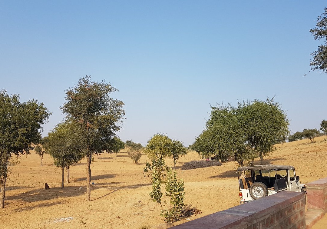 Gangaram Ki Dhani Village Homestay主图