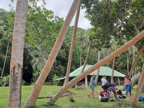 Pacific Harbour Ocean and Island Excursions-太平洋港必去景点