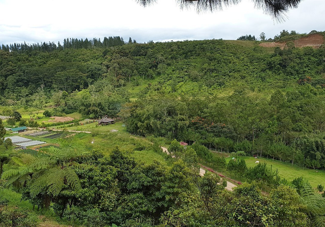 Mount Kitanglad景点图片