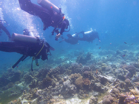 394DIVE-马丹岛必去景点