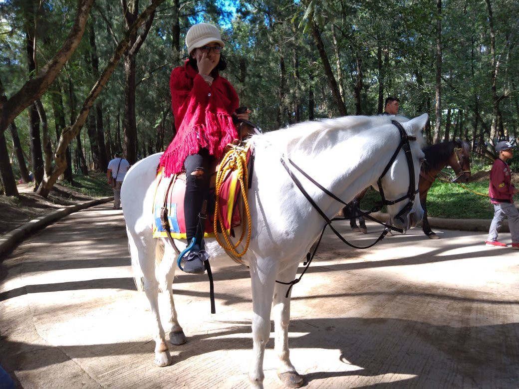 Riding Stable at Wright Park-碧瑶必去景点