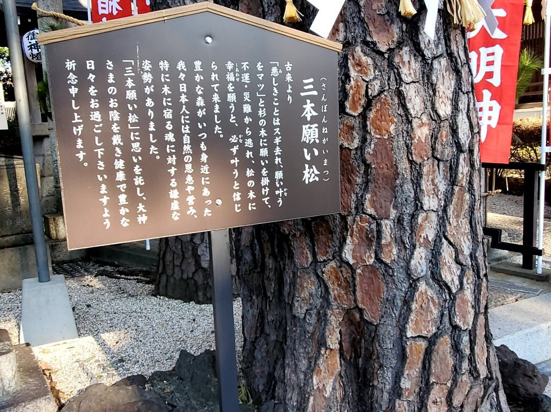 Numabukuro Hikawa Shrine景点图片