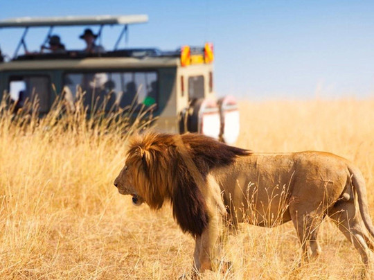 African Golf Tours and Safaris