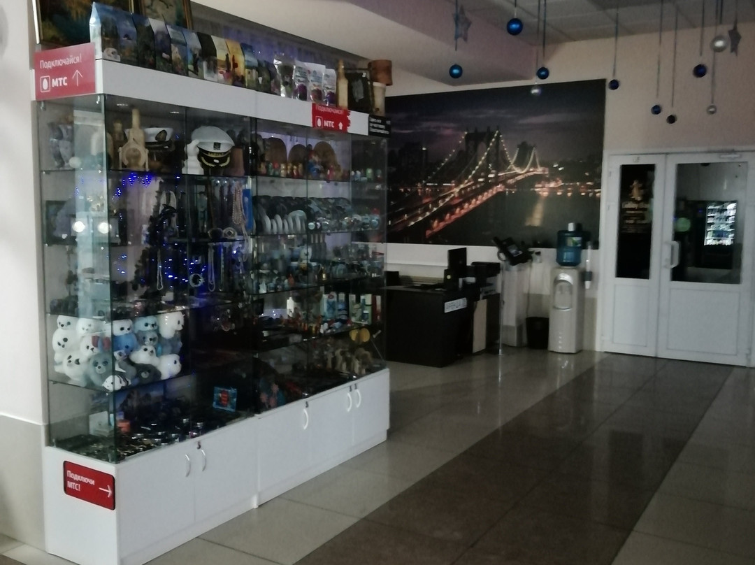 Vozdushnaya Gavan主图