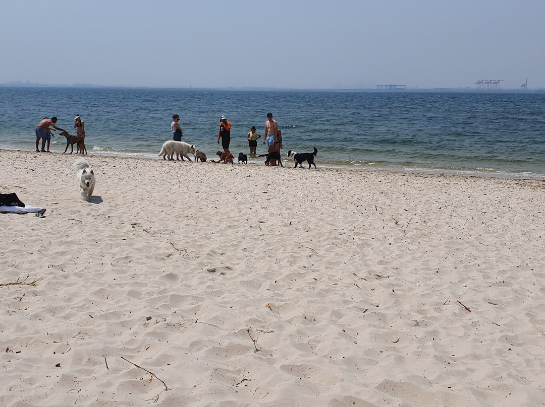 银滩-悉尼必去景点