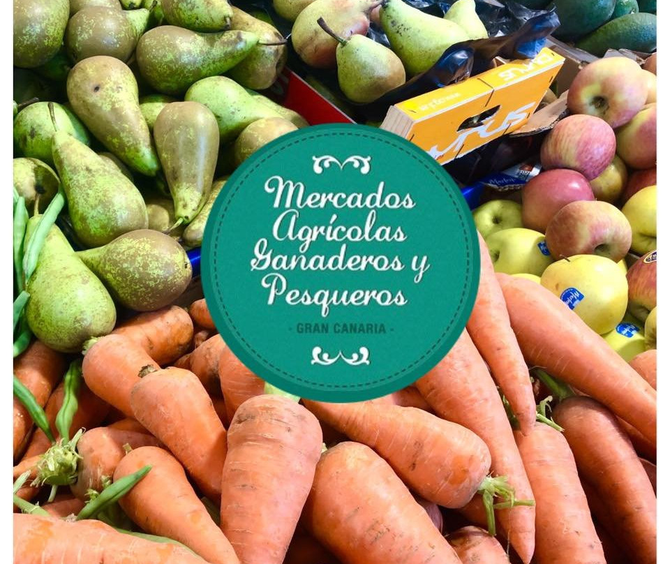 Mercado Agricola Arucas景点图片