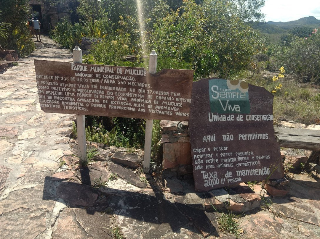 Parque Natural Municipal de Mucugê-Mucuge必去景点