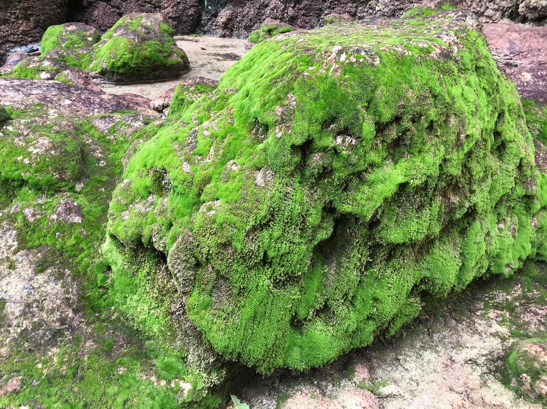 Cascada el Aguacero景点图片