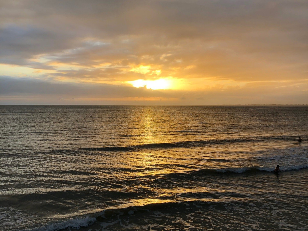 Lynn Hall Memorial Park-迈尔斯堡海滩必去景点