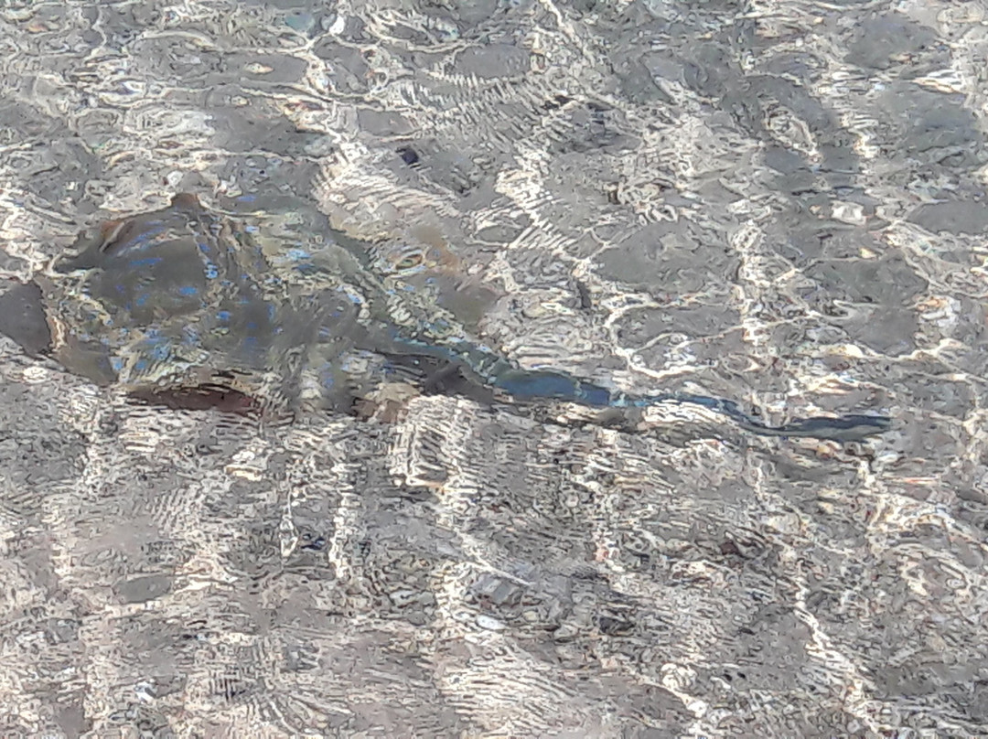 天使岛度假村主图