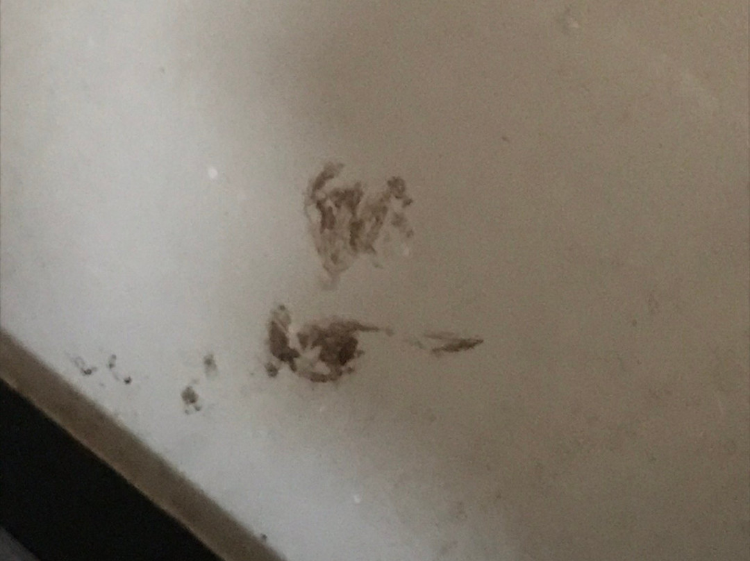 Tanjungan Bukit Lodge主图