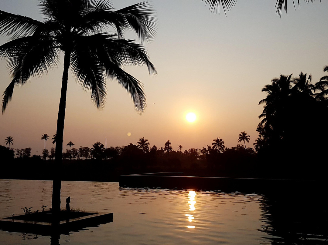 阿丽拉 迪瓦果阿 . 印度主图