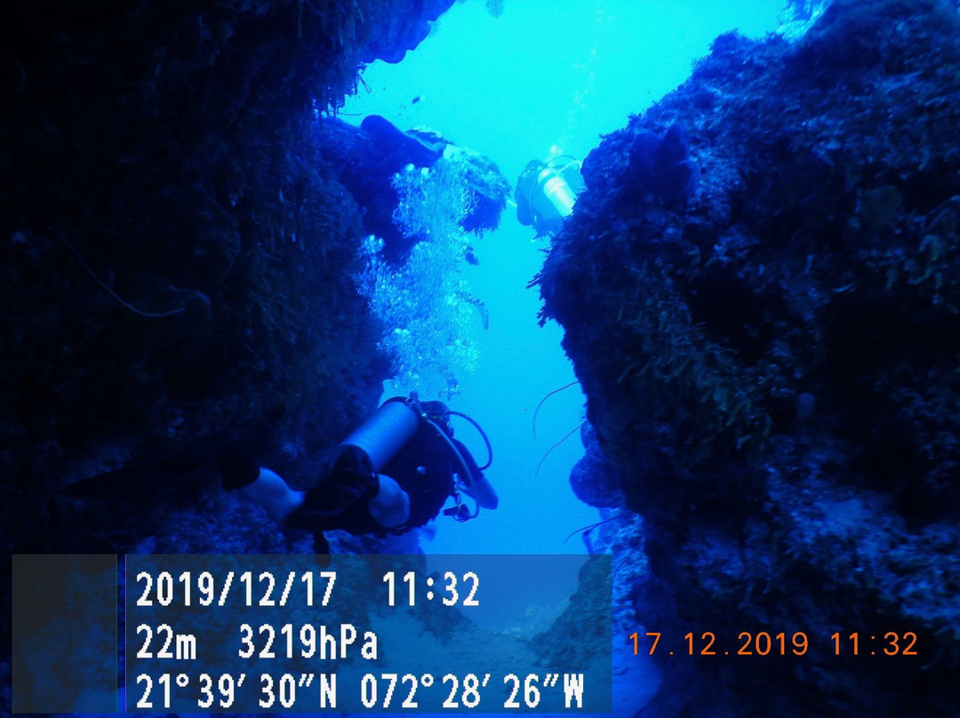 Provo Turtle Divers-普罗维登西亚莱斯必去景点