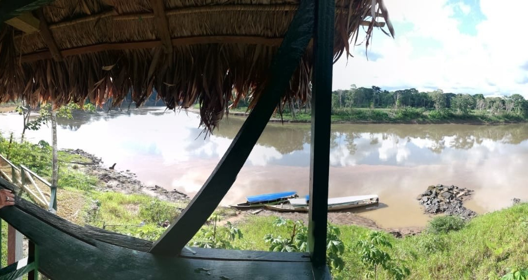 Tambopata Wild景点图片
