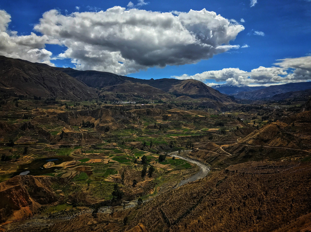 Colca Canyon景点图片