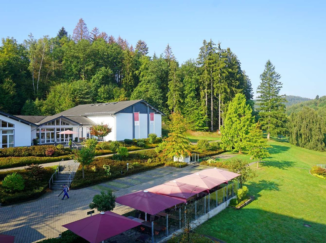 Dorint Parkhotel Siegen主图