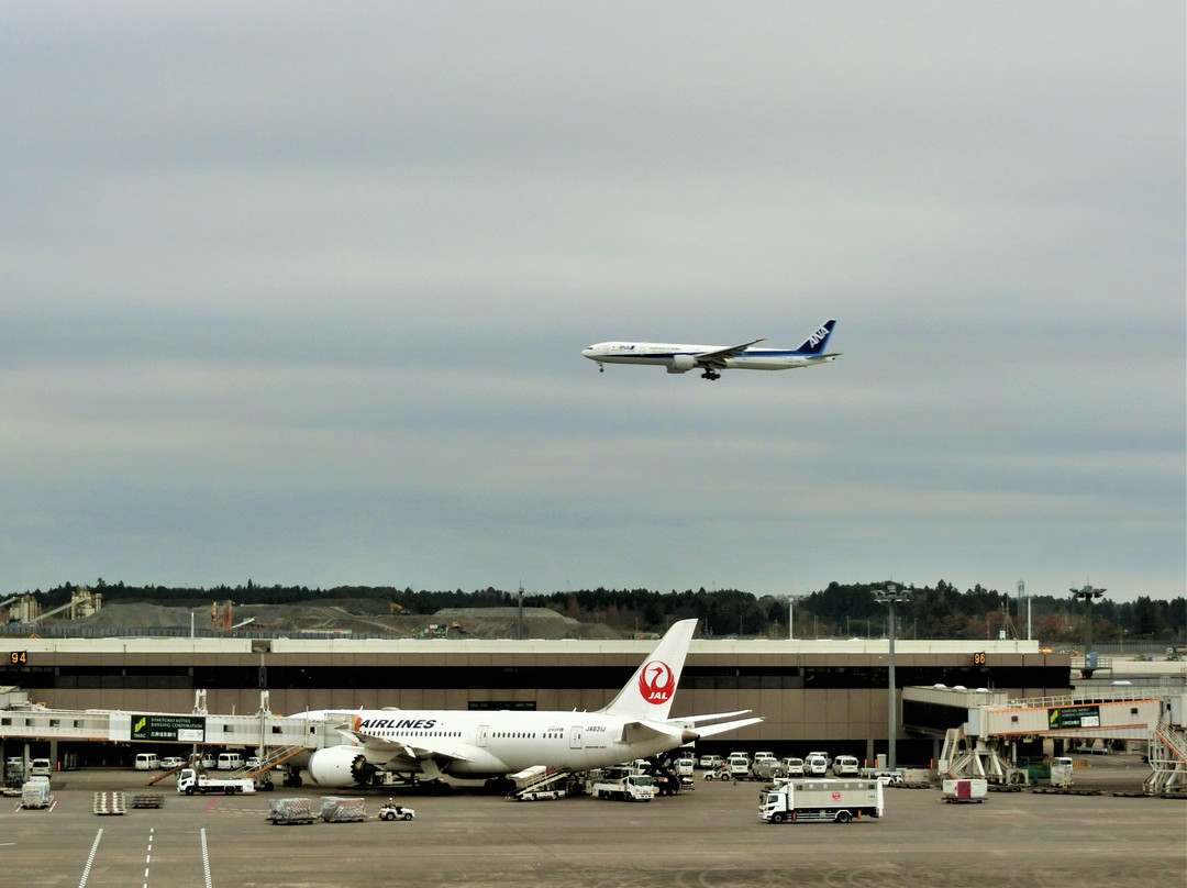 Observation Deck at Narita Airport Terminal 2-成田市必去景点
