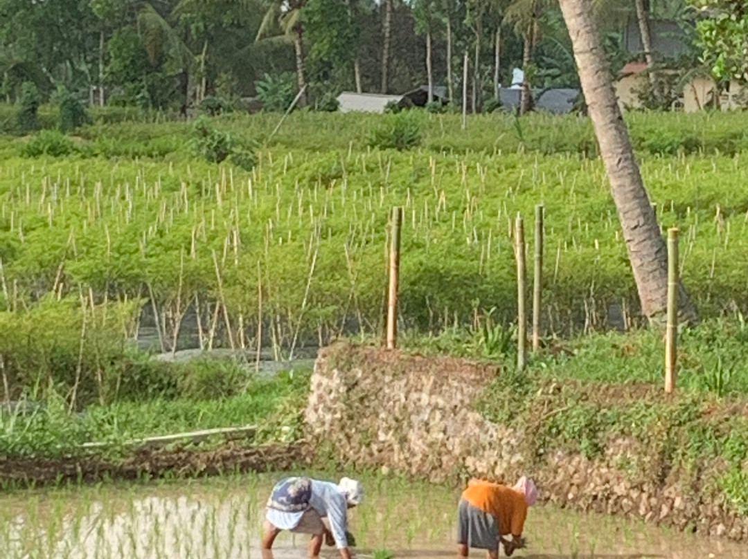 Brigadoon Lombok B&B主图