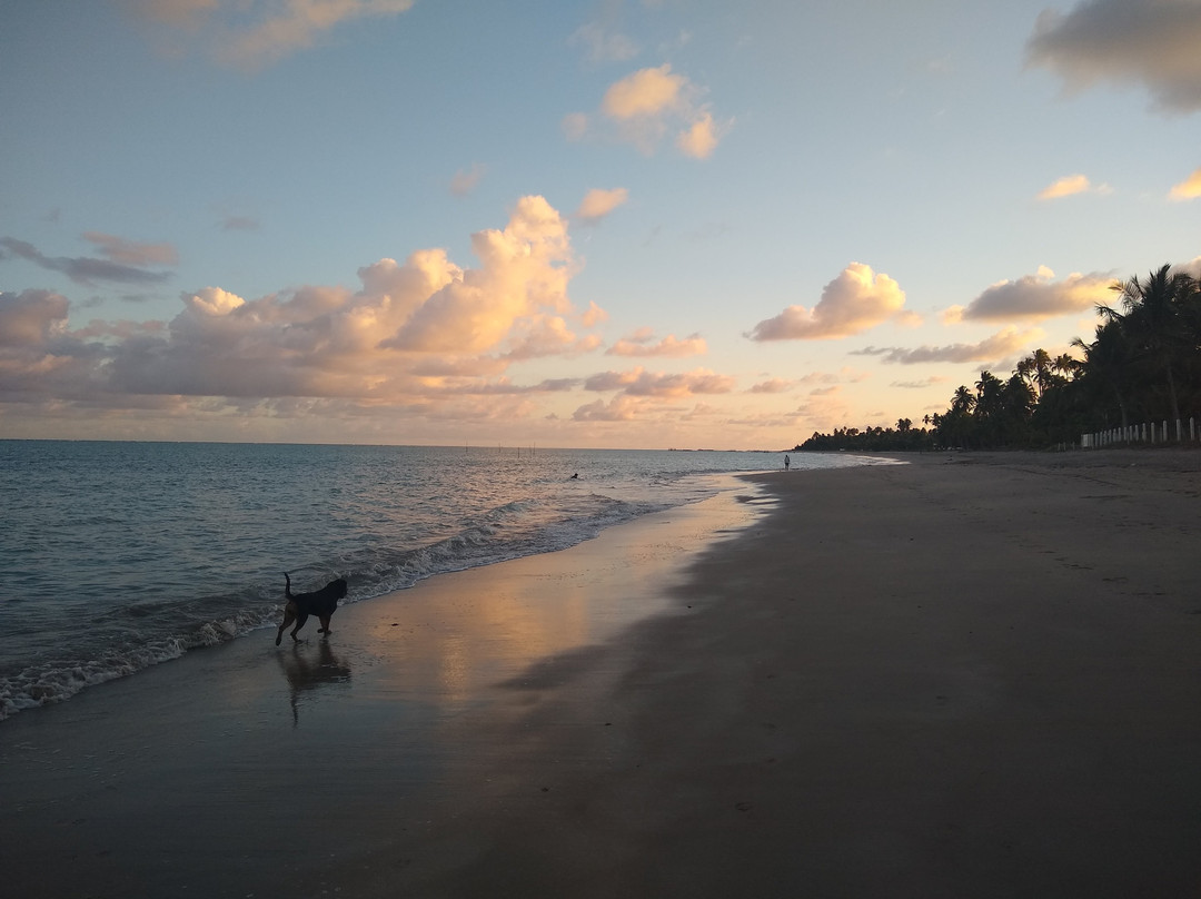 Solar Dos Negreiros主图