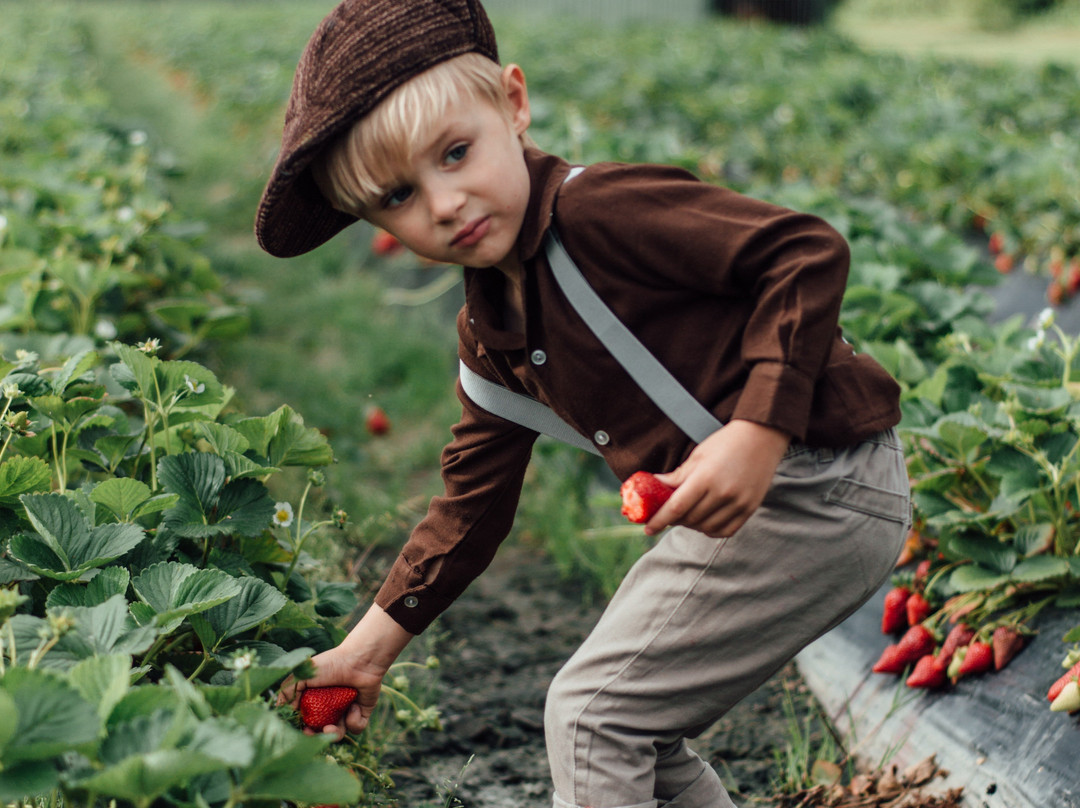 Redberry Farm-乔治必去景点