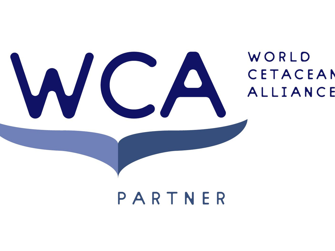 Bahamas Discovery Quest-长岛必去景点