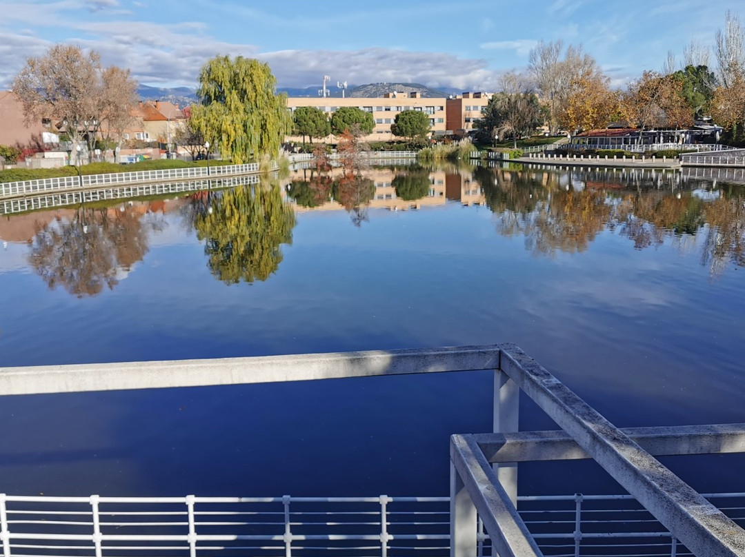 Parque de la Laguna del Carrizal-Collado Villalba必去景点